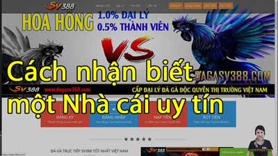 Cách nhận biết một nhà cái uy tín