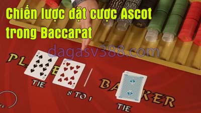 Sử dụng chiến lược đặt cược Ascot trong Baccarat